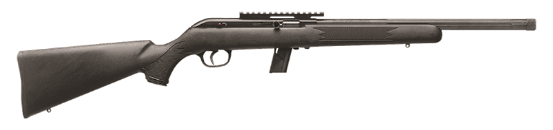 Savage Arms 64 FV-SR