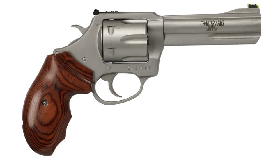 Charter Arms The PROFESSIONAL VI