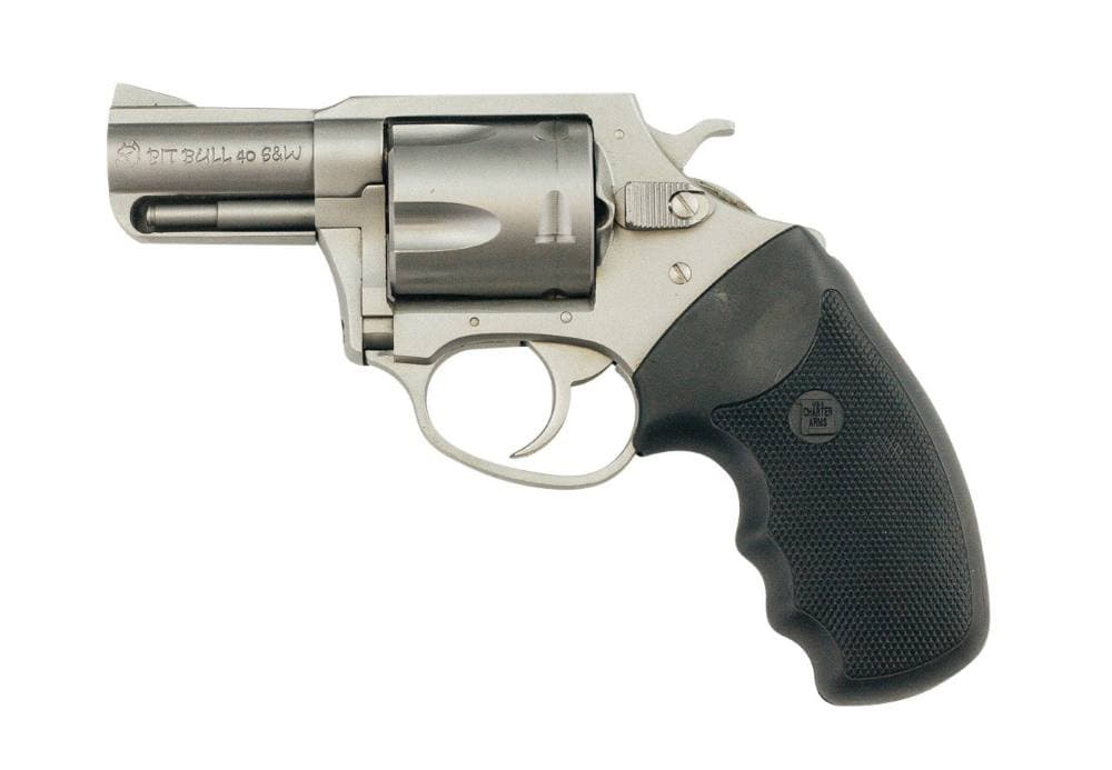 Charter Arms Pitbull