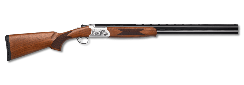 Pointer Pointer Acrius
