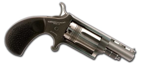 North American Arms The Wasp Convertable
