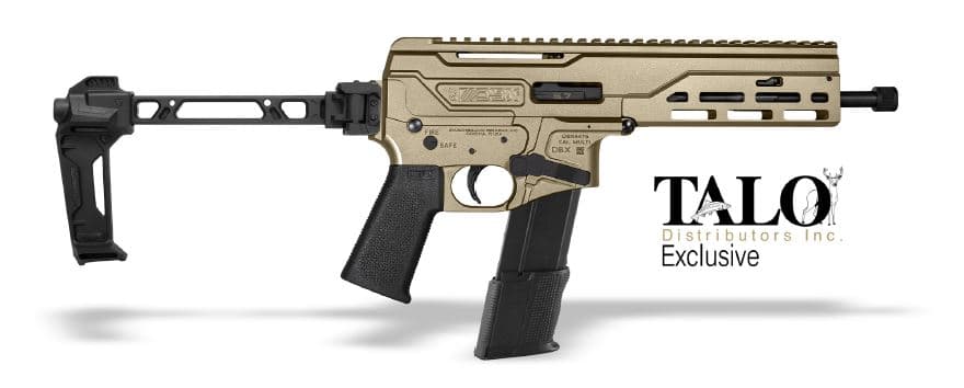 Diamondback Firearms DBX Pistol