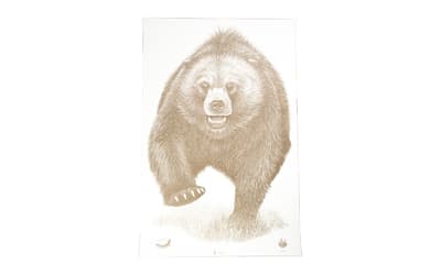 Action Target Alaska State Parks Bear Target, 23"x35", 100 Per Box