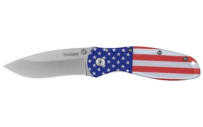 Kershaw Blur, Folding Knife/Assisted Opening, 3.4" Recurve Blade, 14C28N Blade Steel, 7.9" Overall Length, Stonewashed Finish, Silver