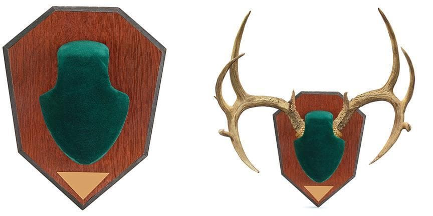Allen Antler Mounting Kit - Green Skull