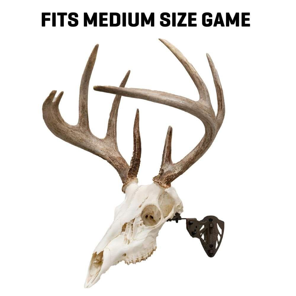 Allen EZ Mount Trophy Skull Hanger Brown