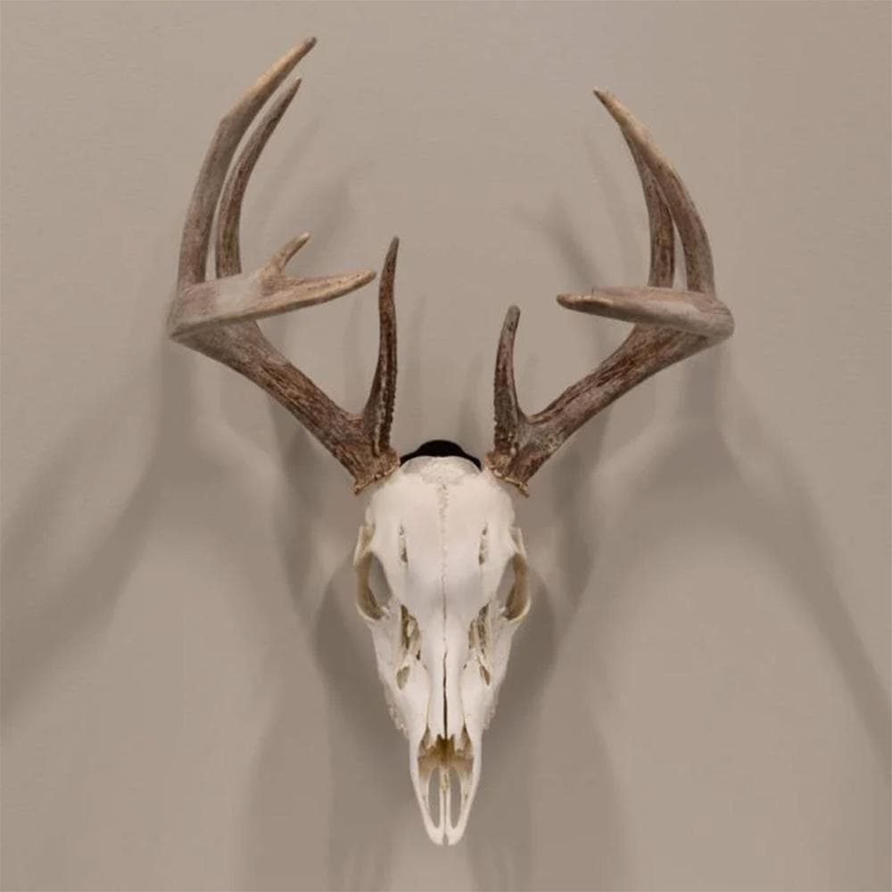 Allen EZ Mount Skull Peg Hook Black
