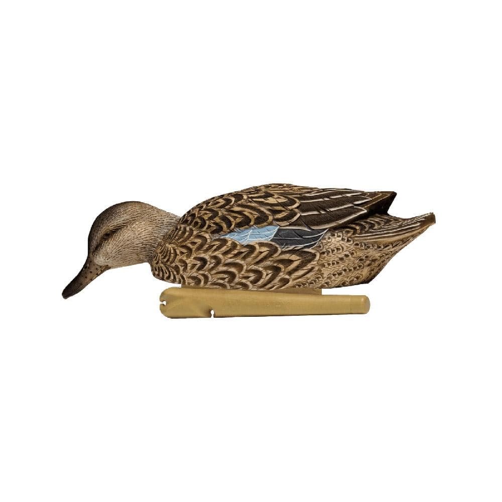 Avian-X Topflight Blue Wing Teal Decoys 6/ct