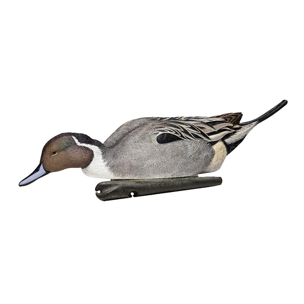 Avian-X Topflight Pintails Duck Decoys 6/ct