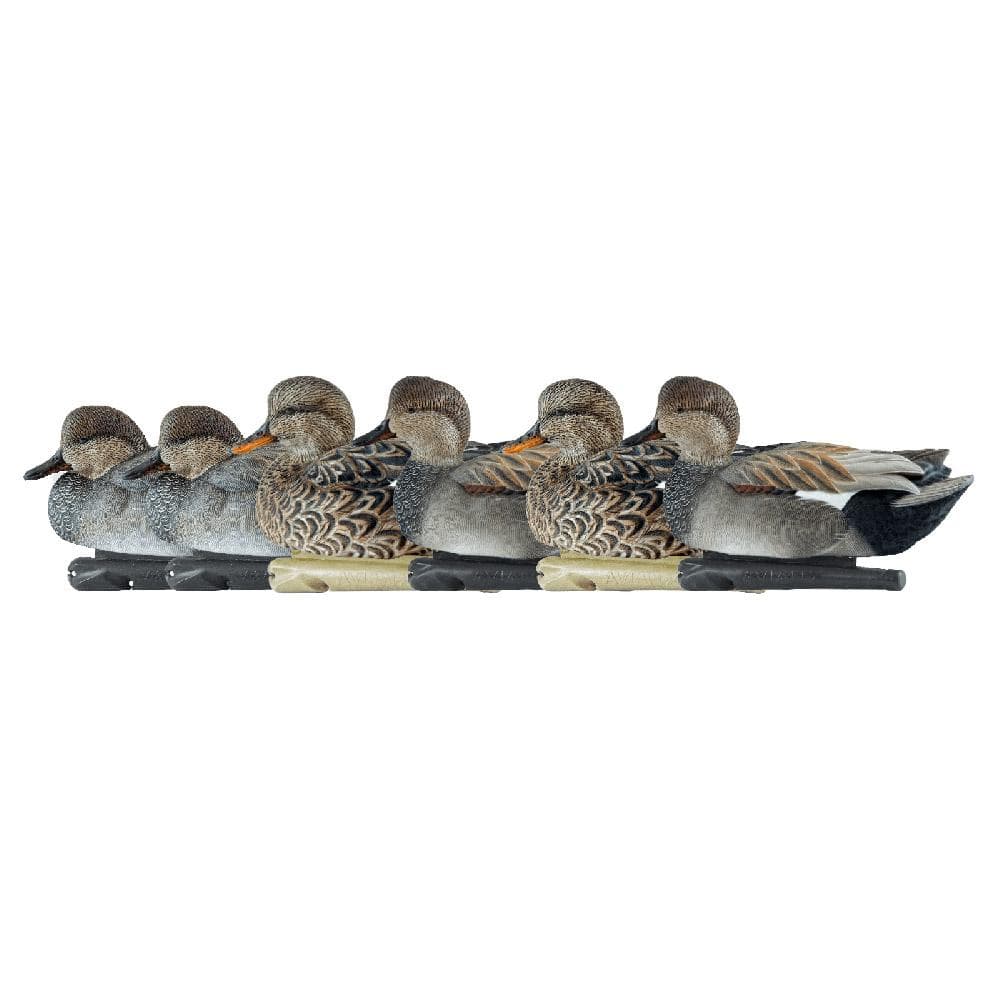 Avian-X Topflight Decoys Gadwall 6/ct