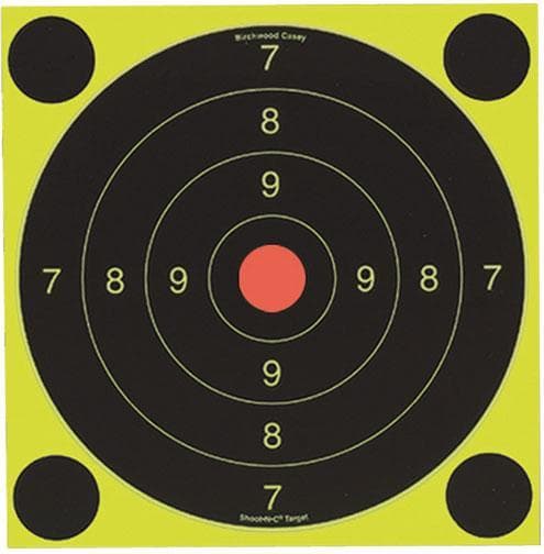 Birchwood Casey Shoot-N-C International Target