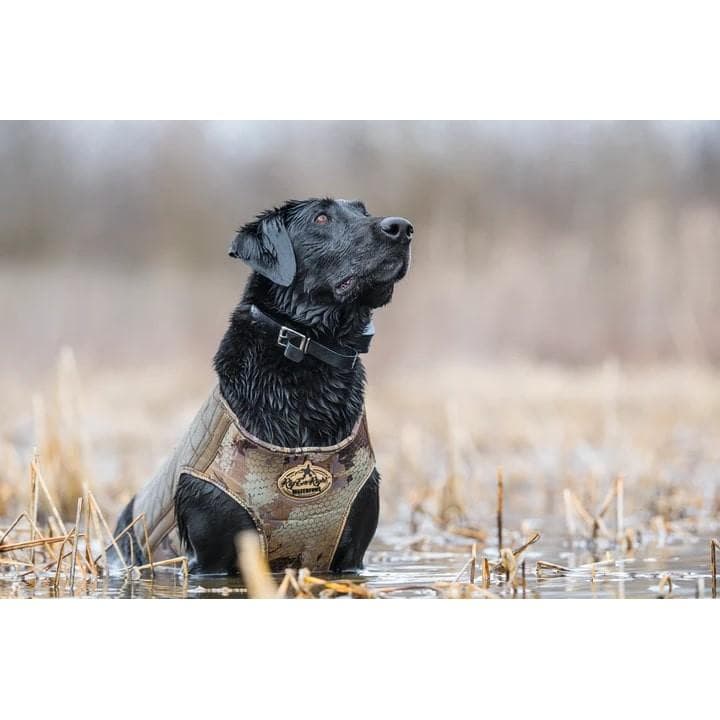 Rig'Em Right Bloodline Elite Dog Vest Optifade Timber M