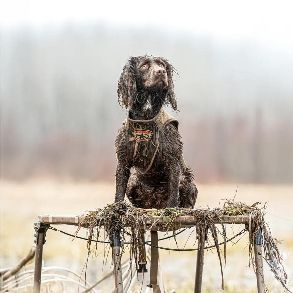 Rig'Em Right Swamp Bully Dog Stand