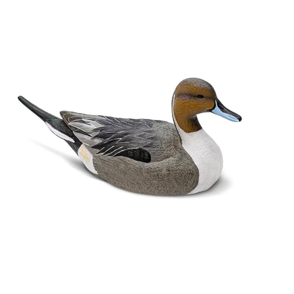 Rig'Em Right Mainline Series Pintail Duck Decoy 6/ct