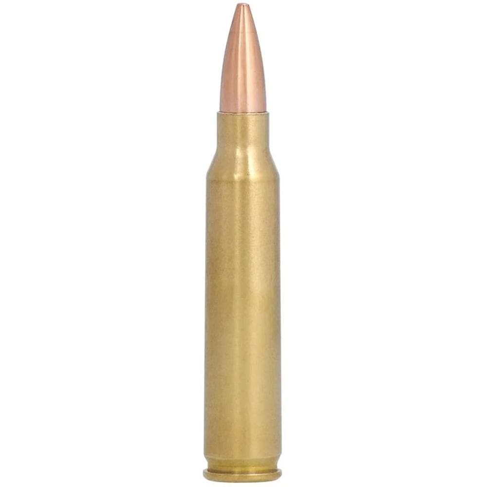 Federal Premium Gold Medal Sierra MatchKing Rifle Ammunition .223 Rem 69 gr BTHP 2950 fps - 20/ct
