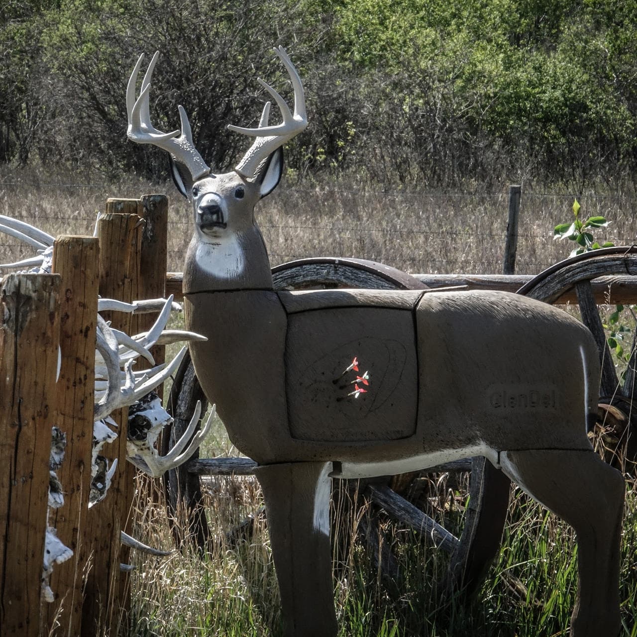 GlenDel Pre-Rut Buck w/ 4-Sided Insert