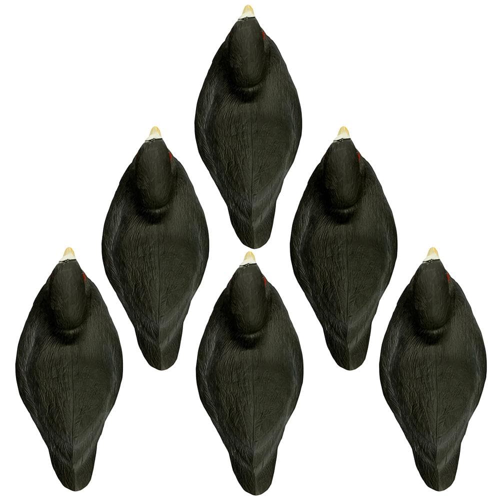 Higdon Outdoors Standard Coot Foam Filled Duck Decoys 6/ct