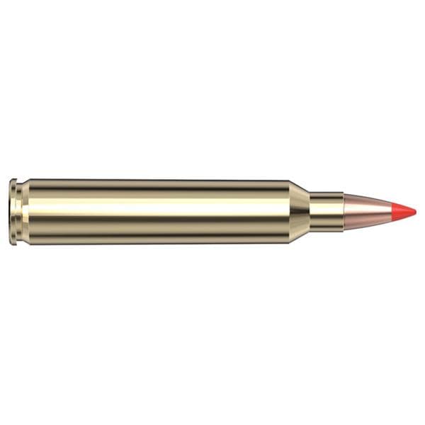 Hornady Varmint Express Rifle Ammunition .204 Ruger 40 gr V-MAX 3900 fps 20/ct
