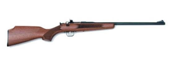 CHIPMUNK 22 LR DELUXE WALNUT BLUED