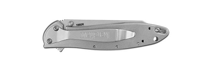 Kershaw Random Leek Reverse Tanto Assisted Folding Knife (3" Bead Blast)