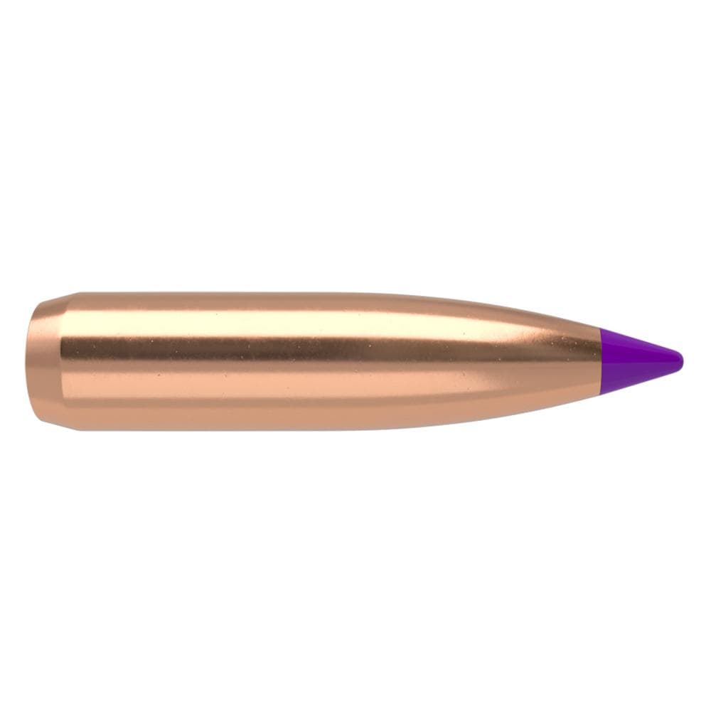 Nosler Ballistic Tip Hunting Rifle Bullets 6mm .243" 95 gr SBT-BTIP 50/ct