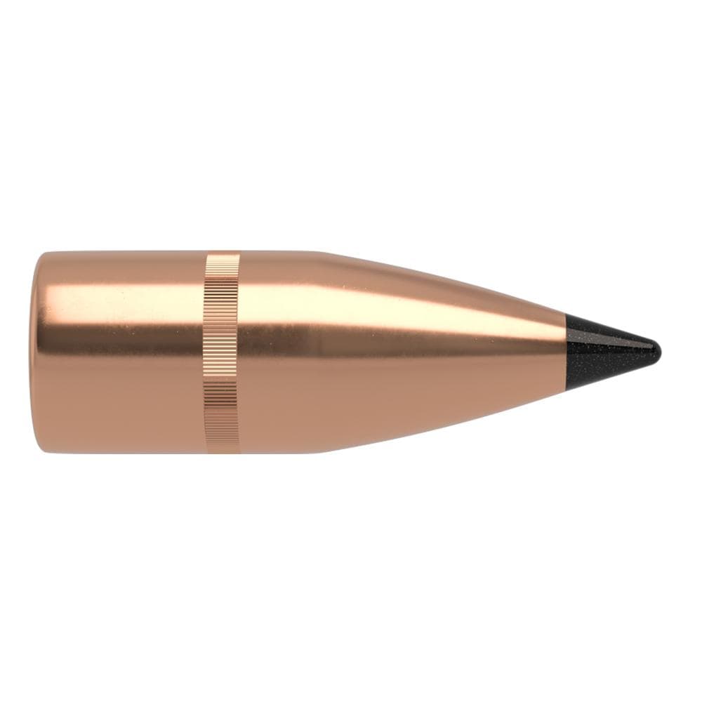 Nosler Varmageddon Rifle Bullets 7.62x39 .310" 123 gr FB-TIPPED 100/ct