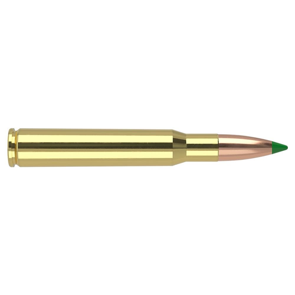 Nosler Ballistic Tip Rifle Ammunition .30-06 Sprg 165gr PT 2950 fps 20/ct