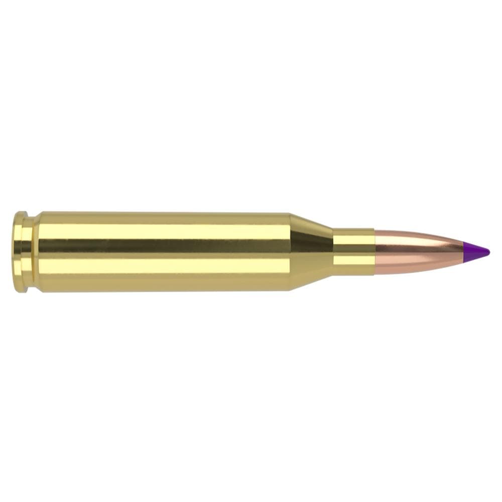 Nosler Ballistic Tip Hunting Rifle Ammunition .243 Win 90gr PT 3100 fps 20/ct