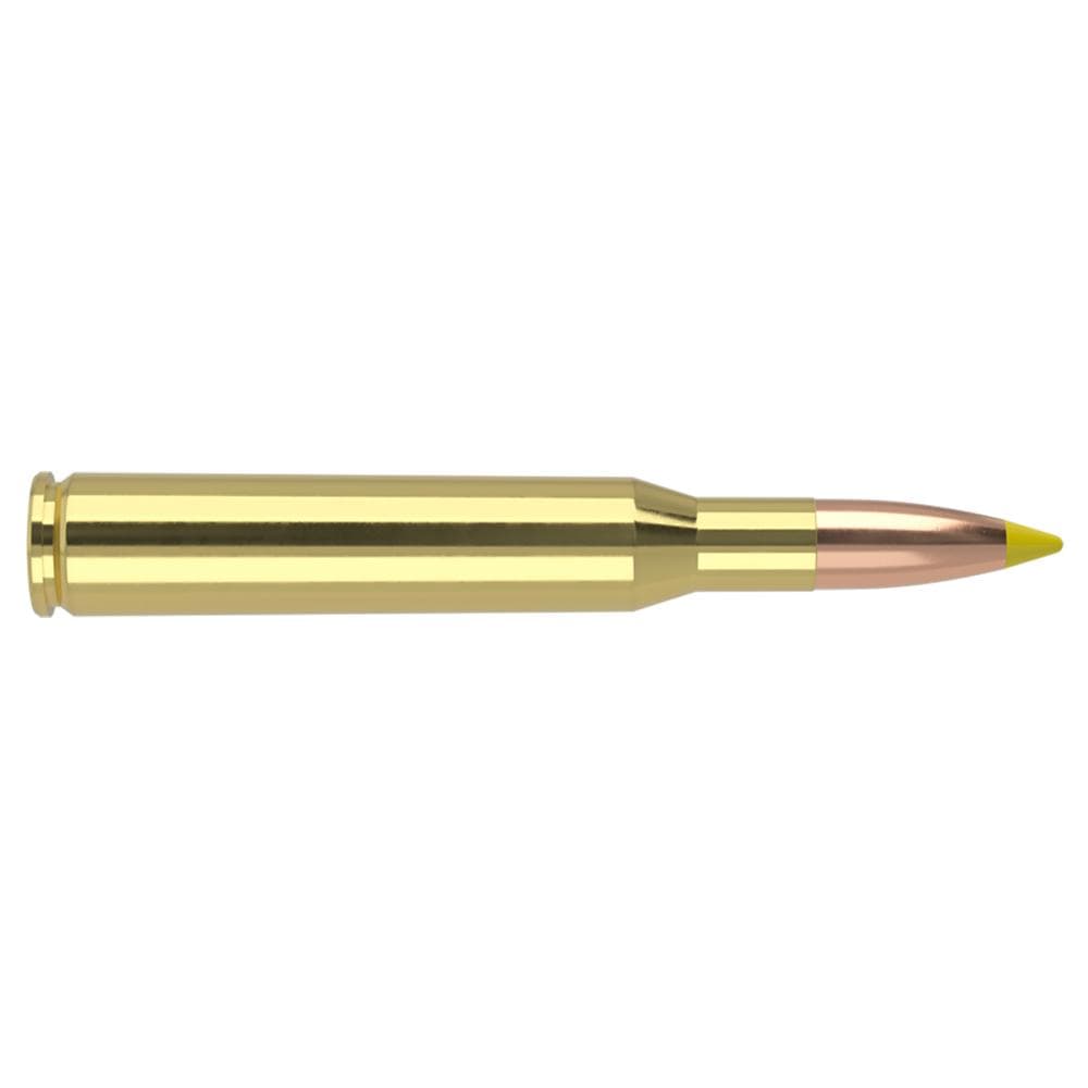 Nosler Ballistic Tip Hunting Rifle Ammunition 270 Win 140gr PT 2900 fps 20/ct