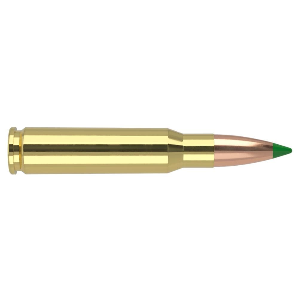 Nosler Ballistic Tip Hunting Rifle Ammunition 308 Win 125gr PT 3100 fps 20/ct