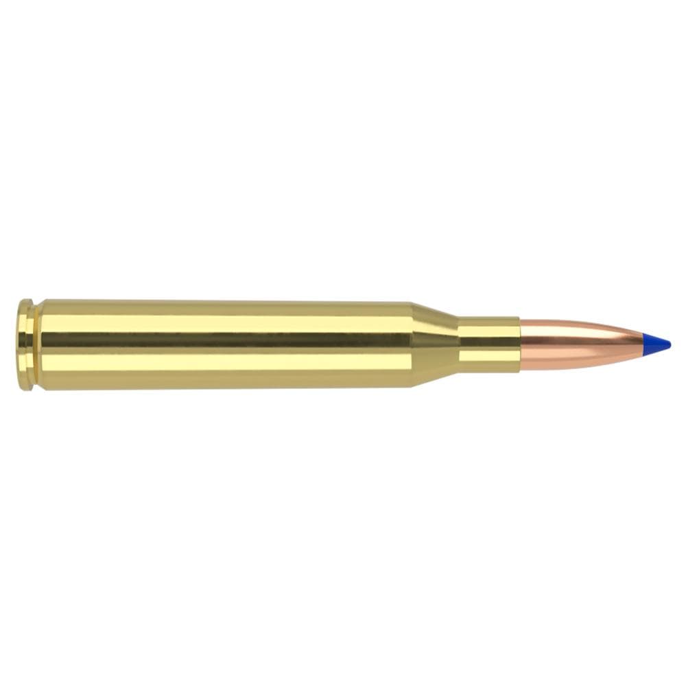 Nosler Ballistic Tip Hunting Rifle Ammunition .25-06 Rem 115gr PT 3000 20/ct