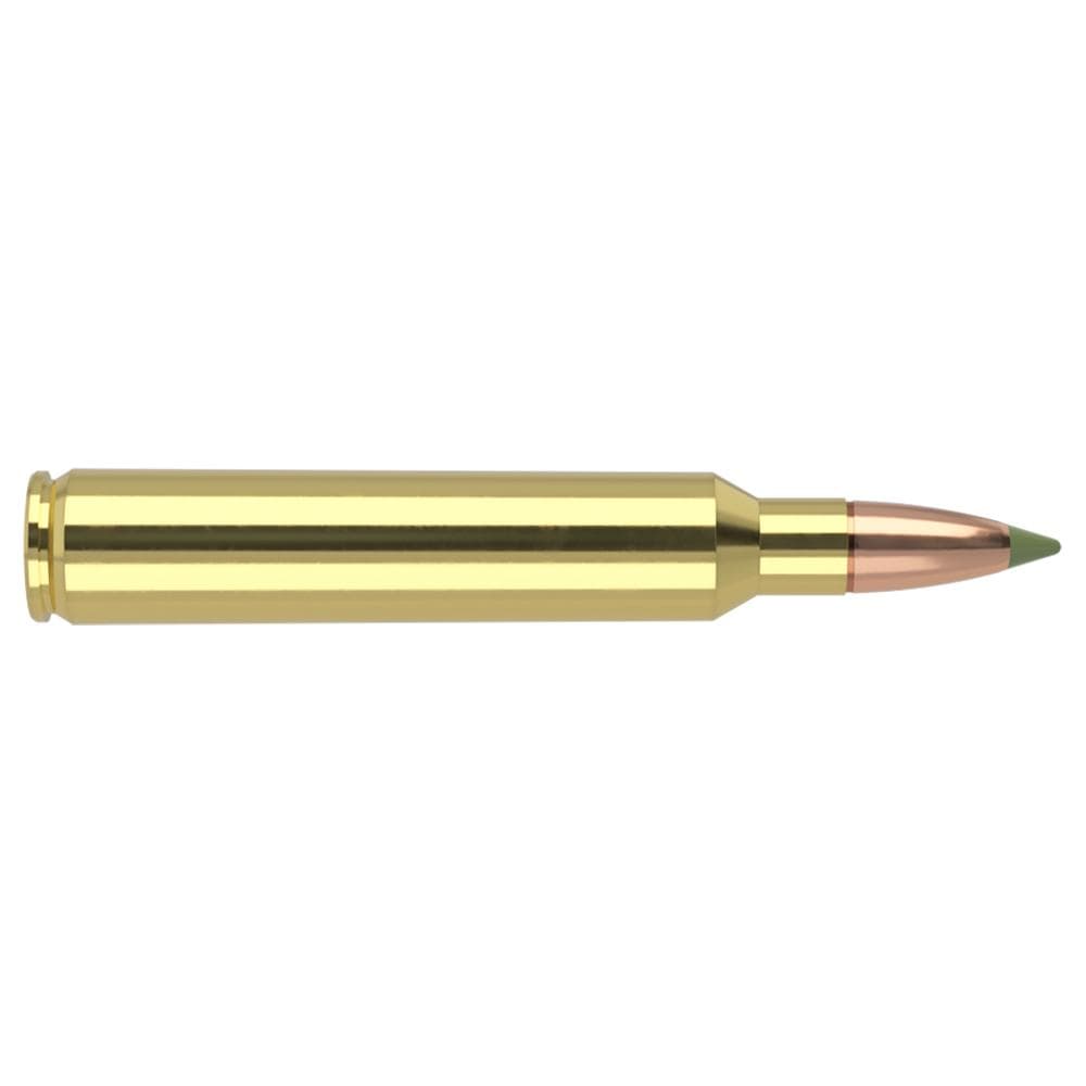 Nosler E-Tip Rifle Ammunition 300 RUM 180 gr E-Tip 3200 fps 20/ct