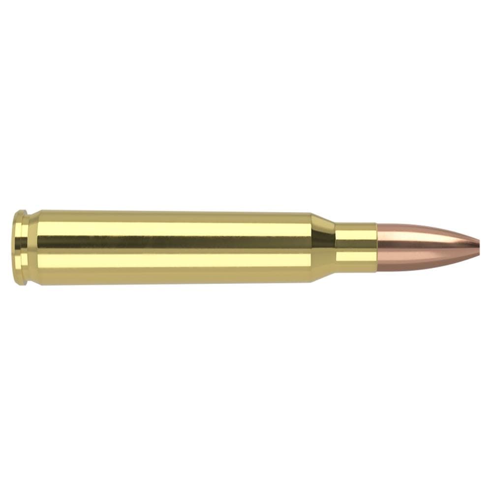 Nosler Varmegeddon Rifle Ammunition .223 Rem 62 gr FBHP 2950 fps 20/ct