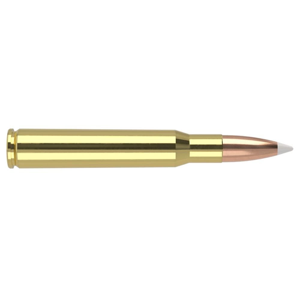 Nosler Trophy Grade Rifle Ammunition .30-06 Sprg 180 gr AB 2750 fps 20/ct