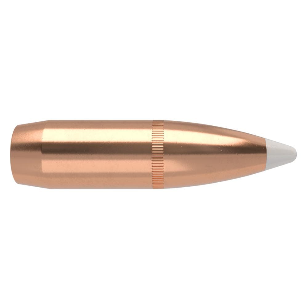 Nosler AccuBond Rifle Bullets .375 cal .375" 300 gr SBT-ACB w CANN 50/ct