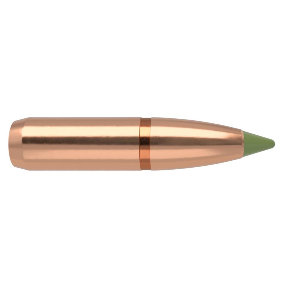 Nosler E-Tip Lead-Free Hunting Rifle Bullets .243/6mm .243" 90 gr SPTZ E-TIP 50/ct
