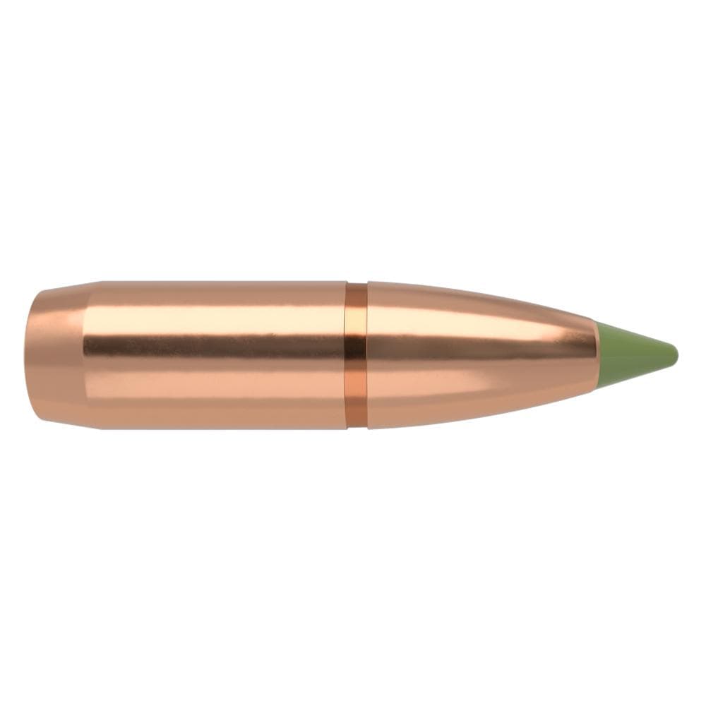 Nosler E-Tip Lead-Free Hunting Rifle Bullets 8mm .323" 180 gr SPTZ E-TIP 50/ct