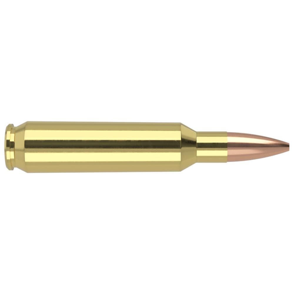 Nosler Custom Competition Match Grade Rifle Ammunition .22 Nosler 77 gr OTM 2950 fps 20/ct