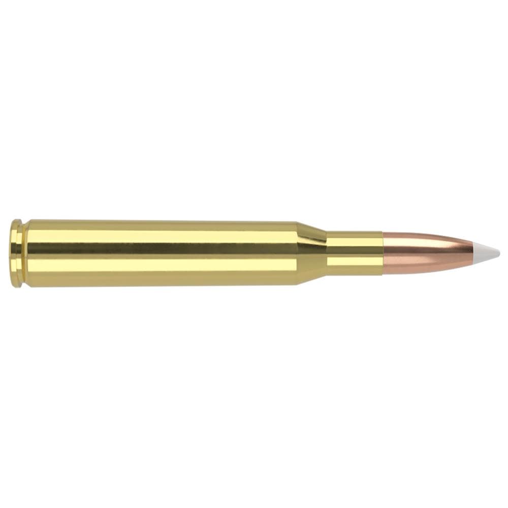 Nosler Accubond Trophy Grade Rifle Ammunition .270 Win 130 gr PT 3075 fps 20/ct