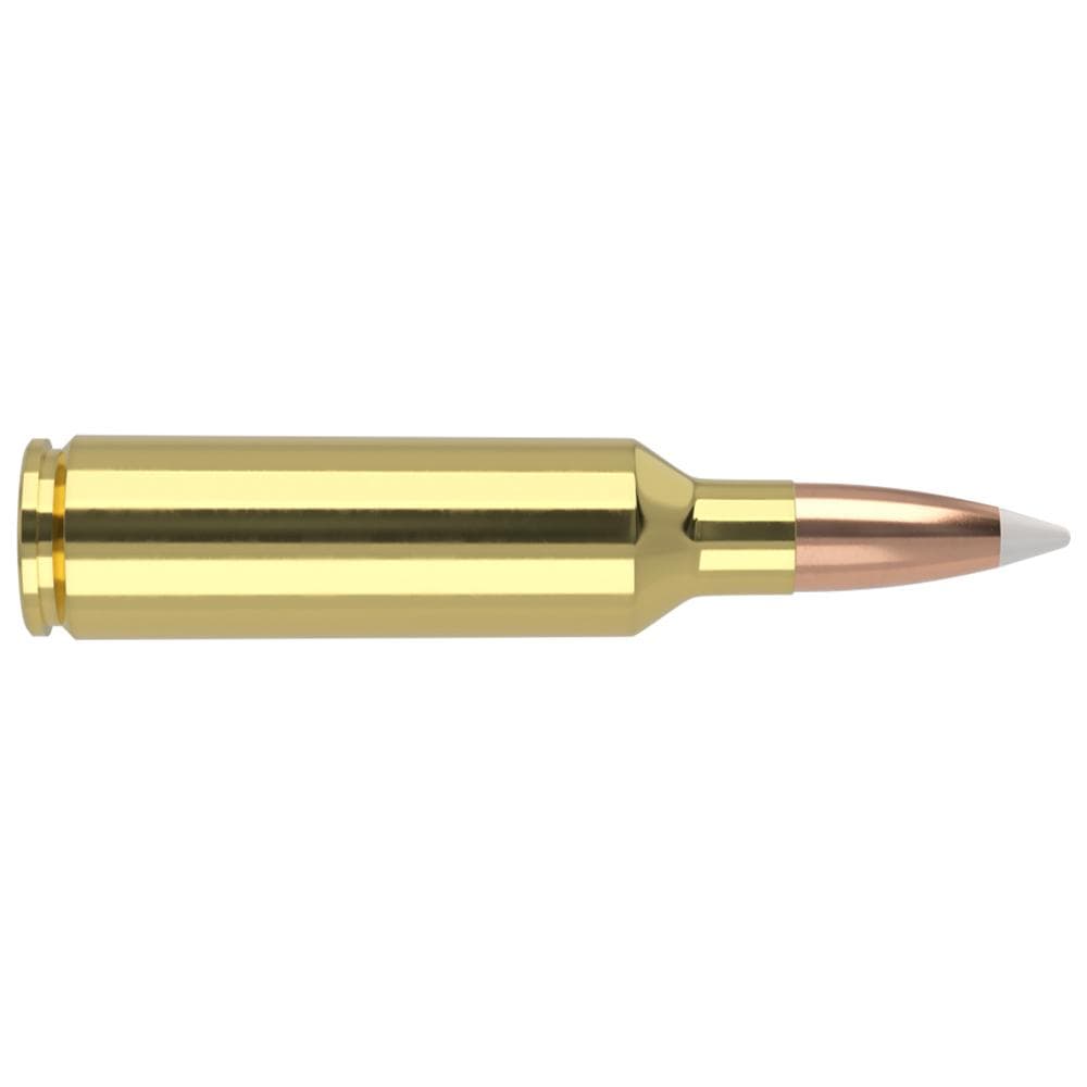 Nosler Accubond Trophy Grade Rifle Ammunition .270 WSM 140 gr PT 3100 fps 20/ct