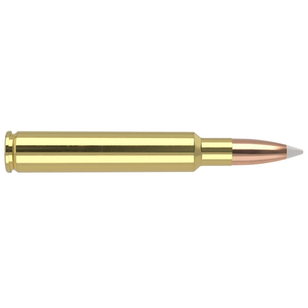 Nosler Accubond Trophy Grade Rifle Ammunition .280 Ackley Improved 140 gr PT 3200 fps 20/ct