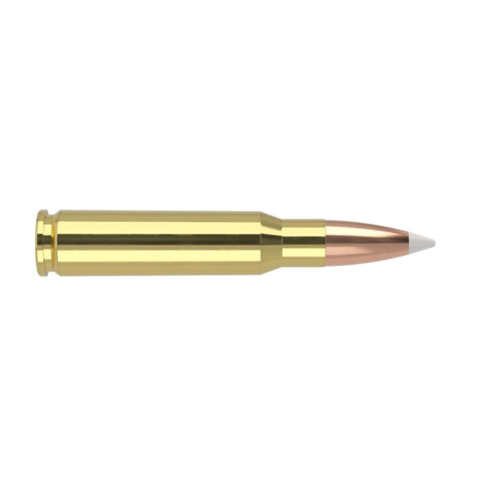 Nosler Accubond Trophy Grade Rifle Ammunition .308 Win 165 gr PT 2800 fps 20/ct