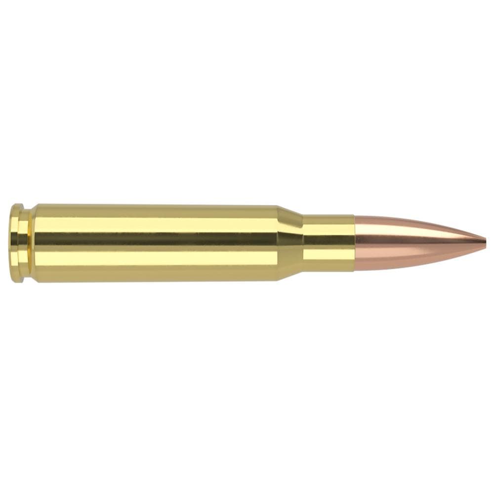 Nosler Custom Competition Match Grade Rifle Ammunition .308 Win 168 gr OTM 2750 fps 20/ct