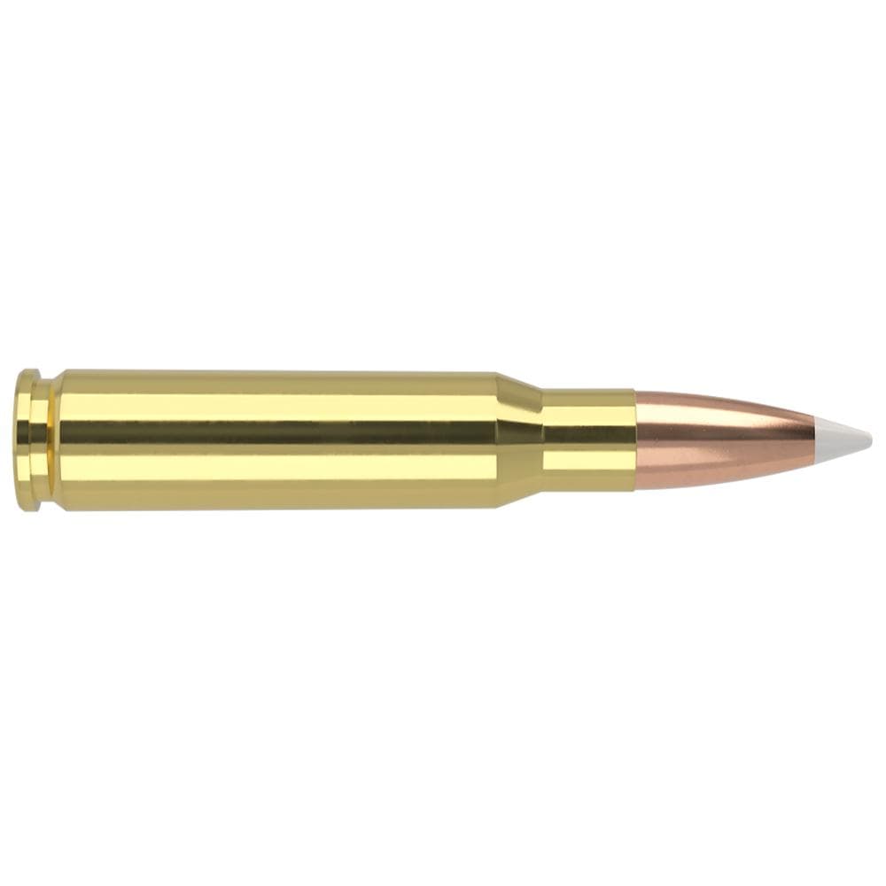 Nosler Accubond Trophy Grade Rifle Ammunition .308 Win 150 gr PT 2875 fps 20/ct