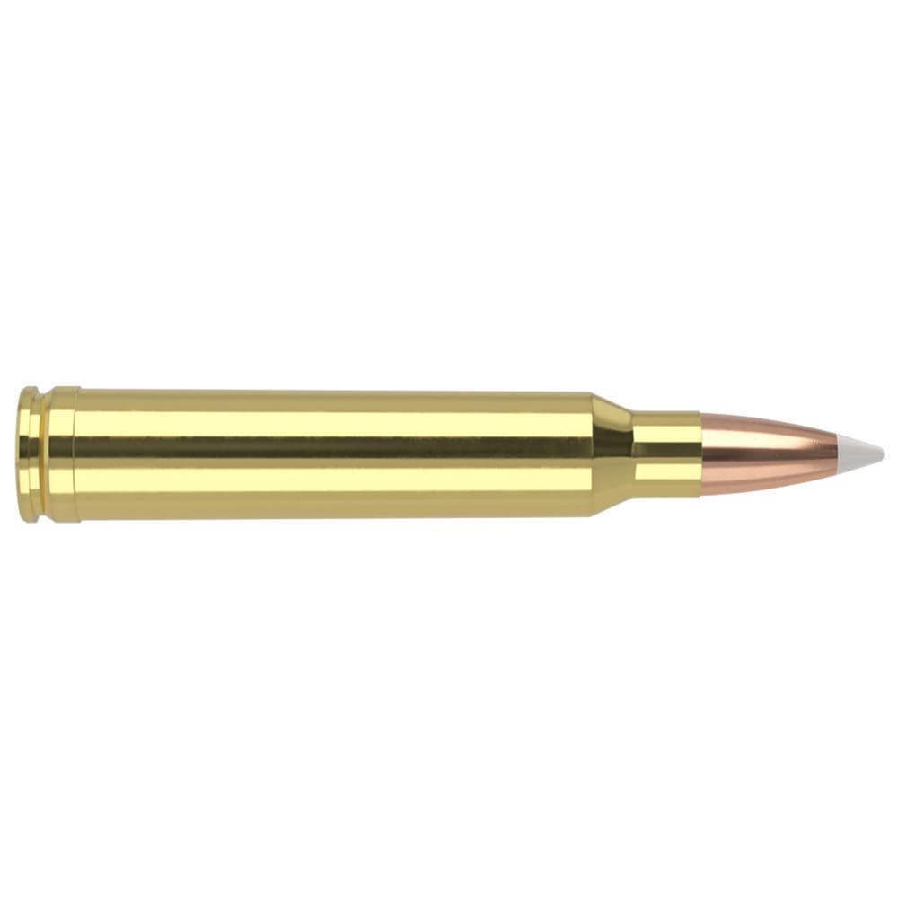 Nosler Accubond Trophy Grade Rifle Ammunition .300 Win Mag 180 gr PT 2950 fps 20/ct