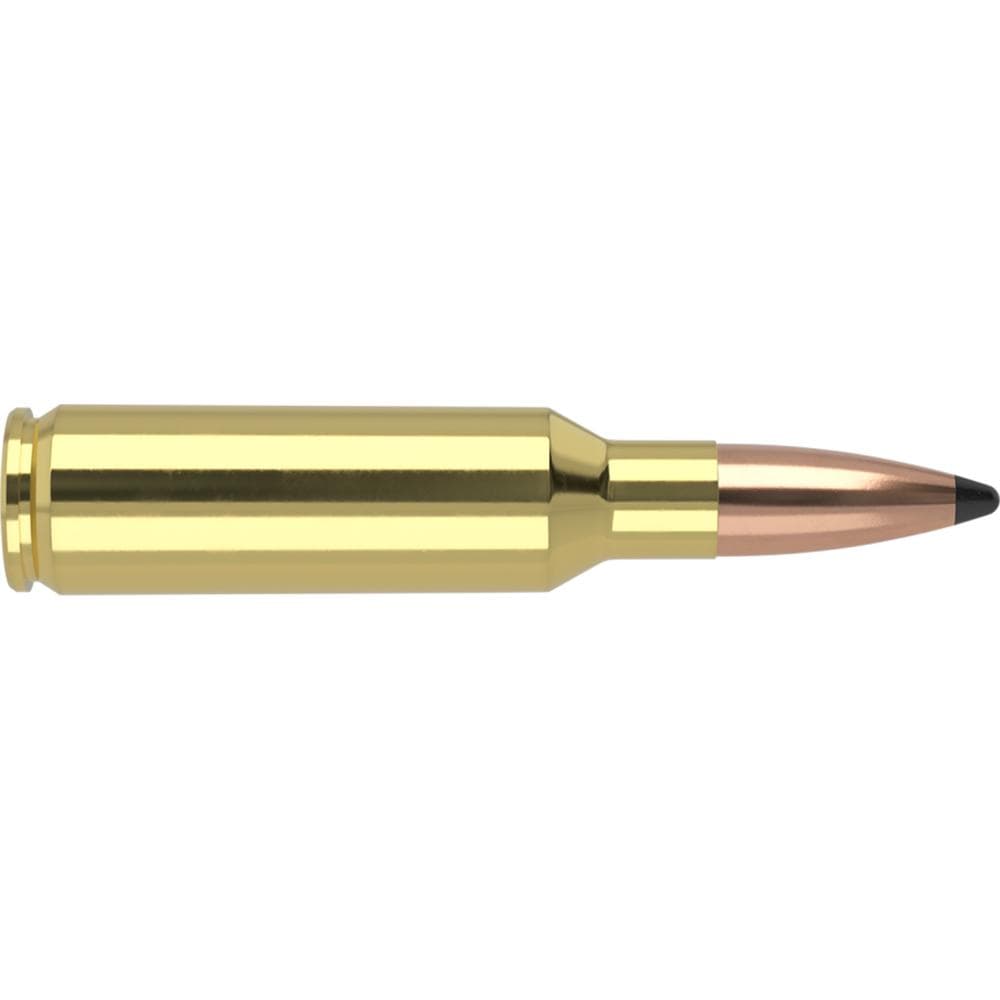 Nosler Partition Trophy Grade Rifle Ammunition .300 SAUM 180 gr PSP 2950 fps 20/ct