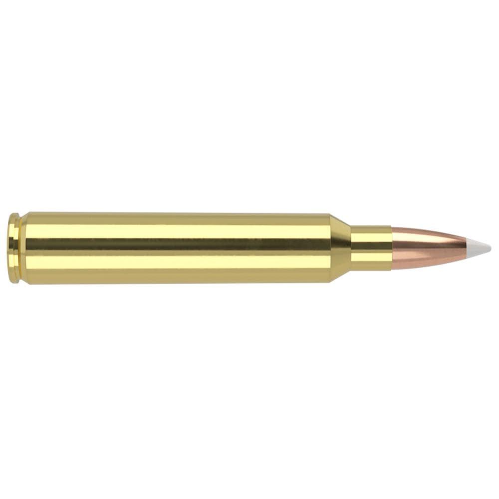 Nosler Accubond Trophy Grade Rifle Ammunition .300 RUM 180 gr PT 3250 fps 20/ct