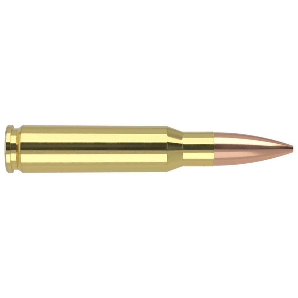 Nosler Custom Competition Match Grade Rifle Ammunition .308 Win 175 gr OTM 2600 fps 20/ct