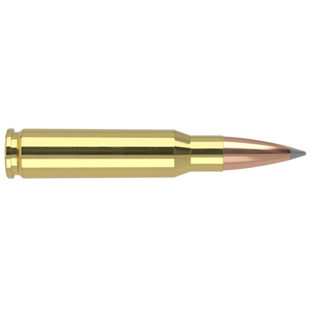 Nosler Accubond Long Range Trophy Grade Rifle Ammunition .308 Win 168 gr PT 2750 fps 20/ct
