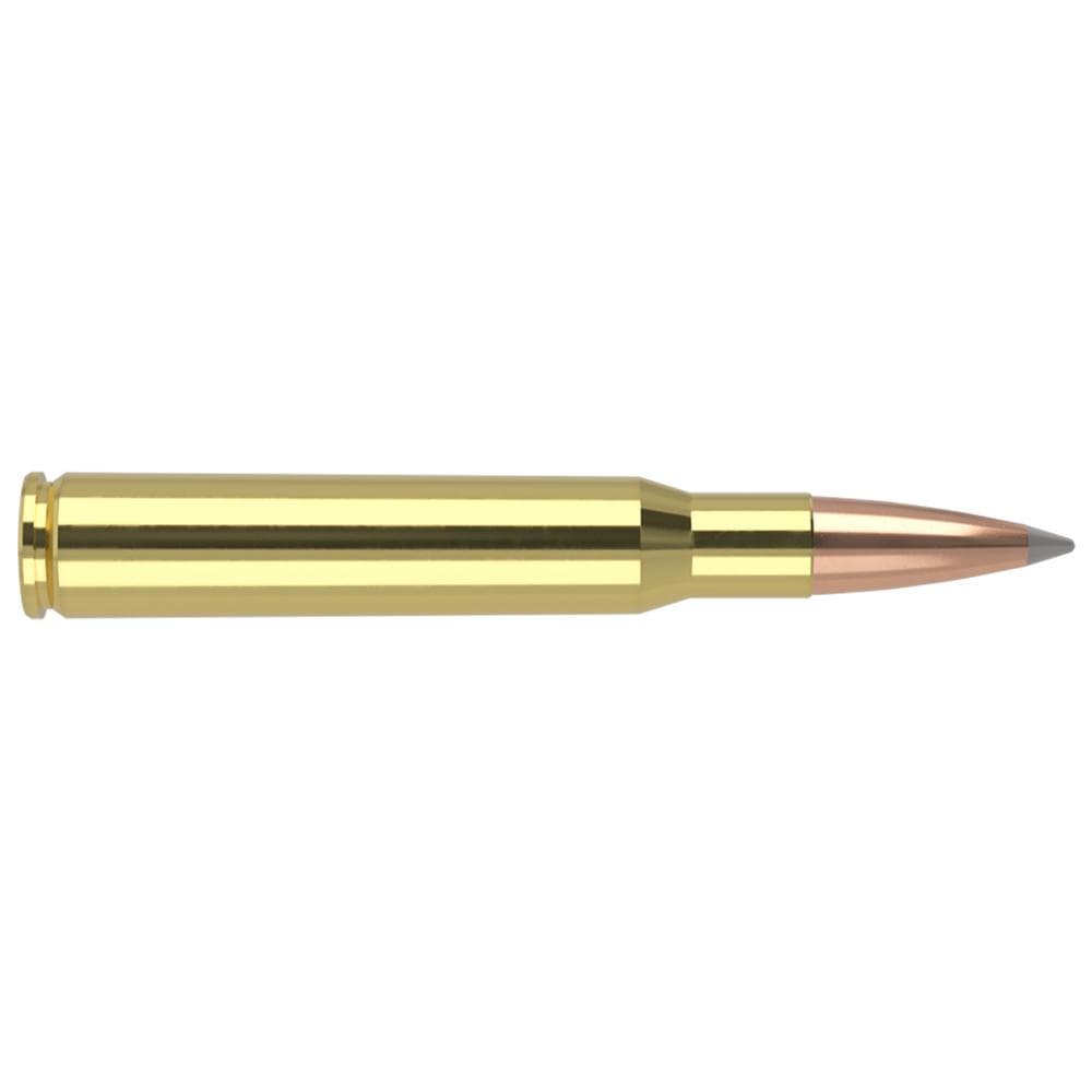 Nosler Accubond Long Range Trophy Grade Rifle Ammunition .30-06 Sprg 168 gr PT 2800 fps 20/ct